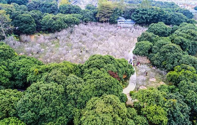 微信图片_20180314150223.jpg 微信图片_20180314150223.jpg