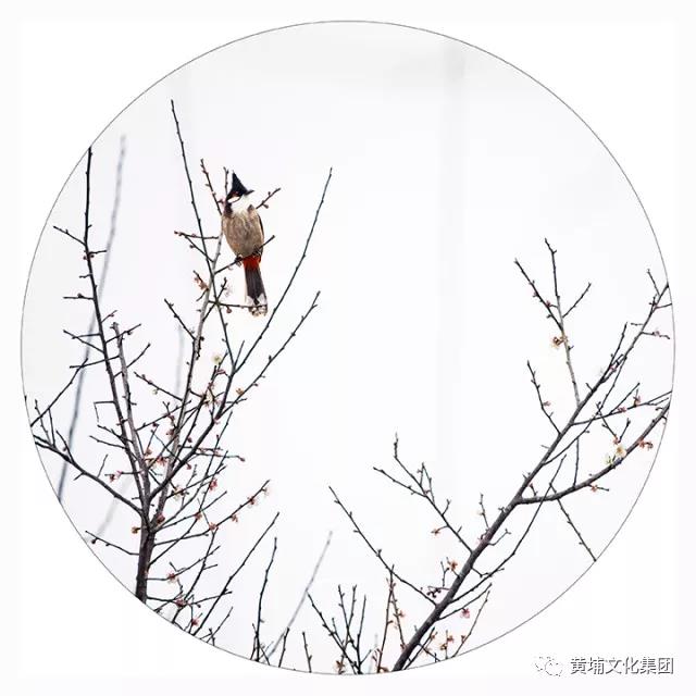 微信图片_20180314150252.jpg 微信图片_20180314150252.jpg