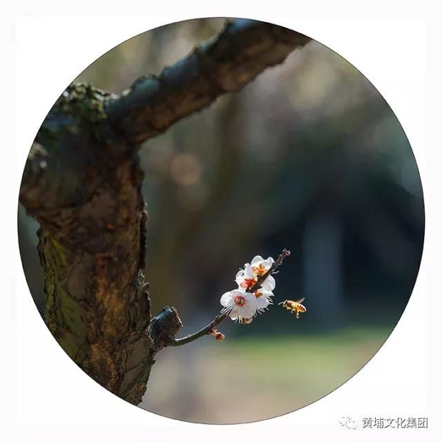 微信图片_20180314150257.jpg 微信图片_20180314150257.jpg